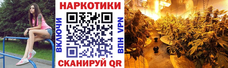 Названия наркотиков Хасавюрт ГАШИШ  МАРИХУАНА  Alpha-PVP  МЕФ  Codein  КОКАИН 