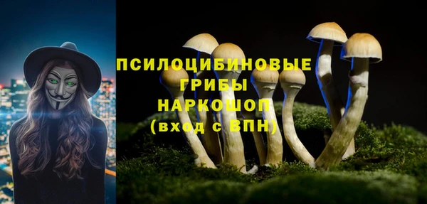 мдпв Лиски