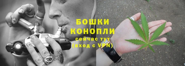 мдпв Лиски