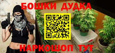 apvp Лесосибирск