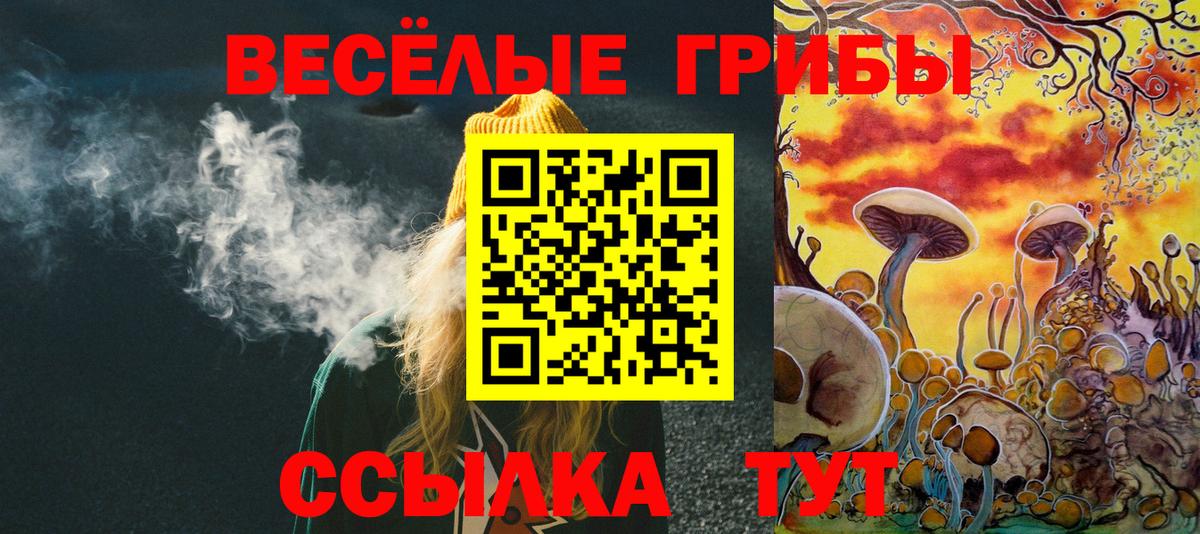 где продают наркотики  Галлюциногенные грибы прущие грибы  Вход с VPN  Хасавюрт 